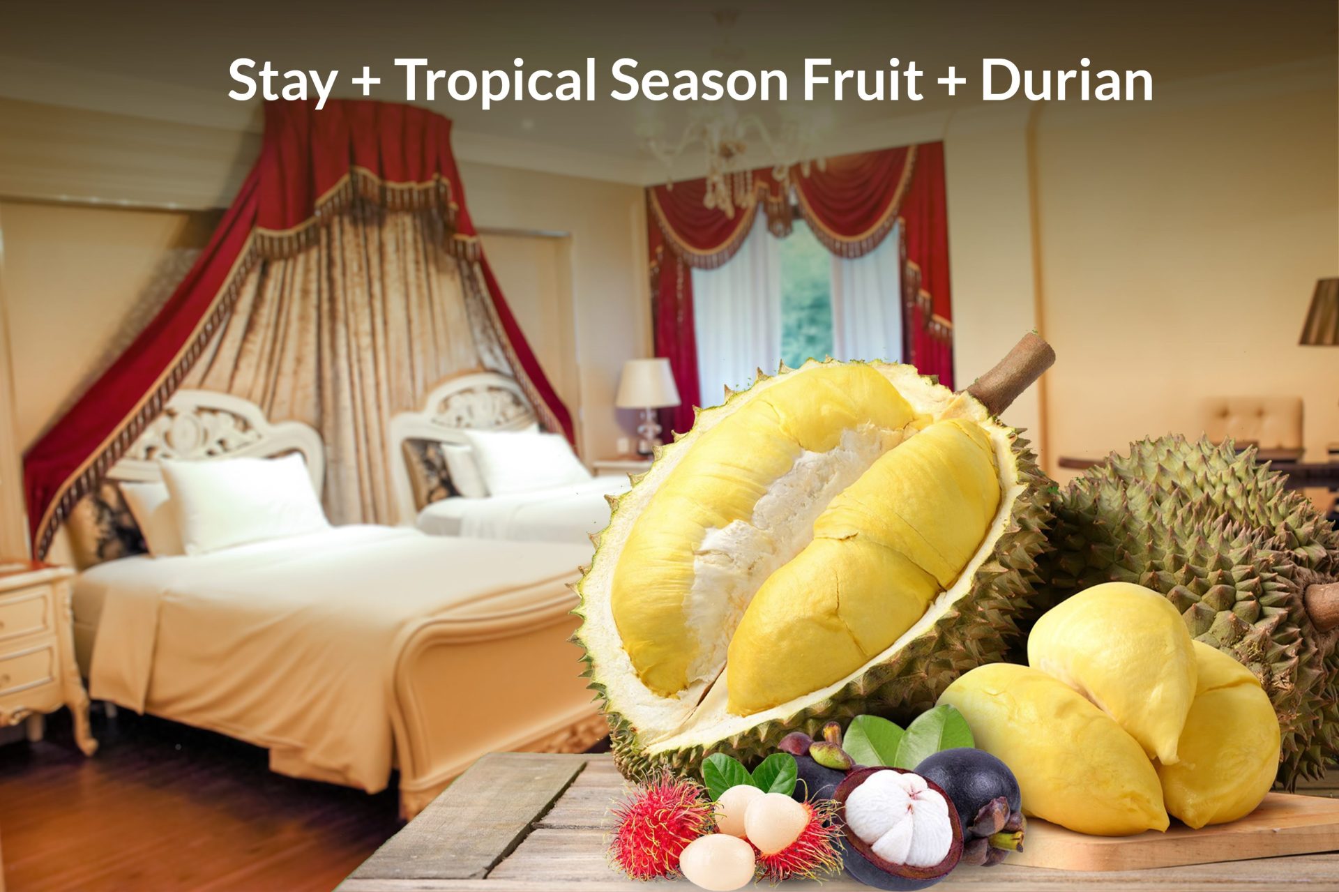 Durian Package webtab